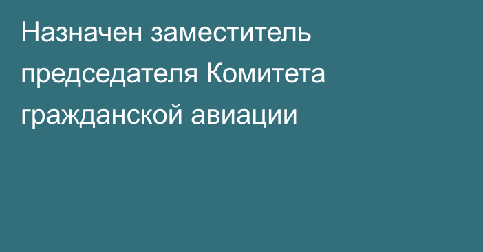 Назначен заместитель председателя Комитета гражданской авиации