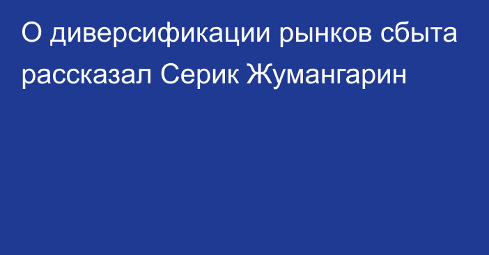 О диверсификации рынков сбыта рассказал Серик Жумангарин