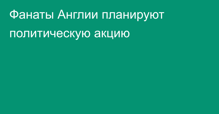 Фанаты Англии планируют политическую акцию