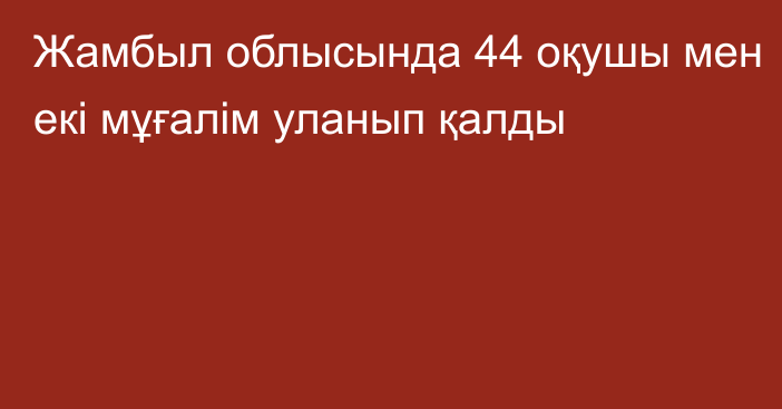 Жамбыл облысында 44 оқушы мен екі мұғалім уланып қалды