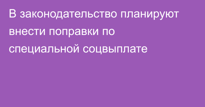 В законодательство планируют внести поправки по специальной соцвыплате