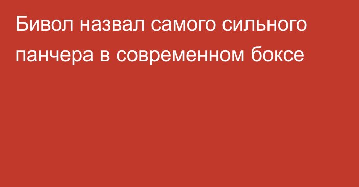 Бивол назвал самого сильного панчера в современном боксе