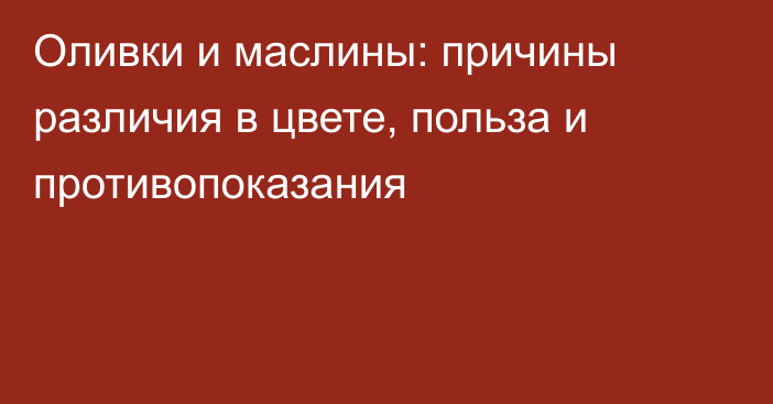 Оливки и маслины: причины различия в цвете, польза и противопоказания