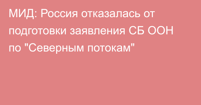 МИД: Россия отказалась от подготовки заявления СБ ООН по 