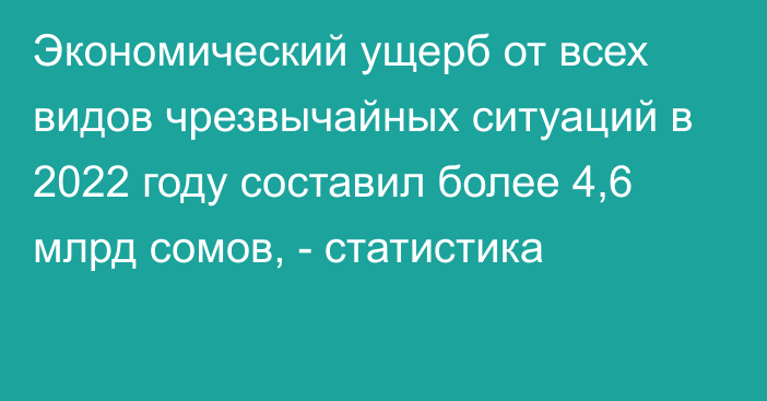 Экономический ущерб от всех видов чрезвычайных ситуаций в 2022 году составил более 4,6 млрд сомов, - статистика