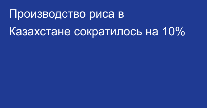 Производство риса в Казахстане сократилось на 10%