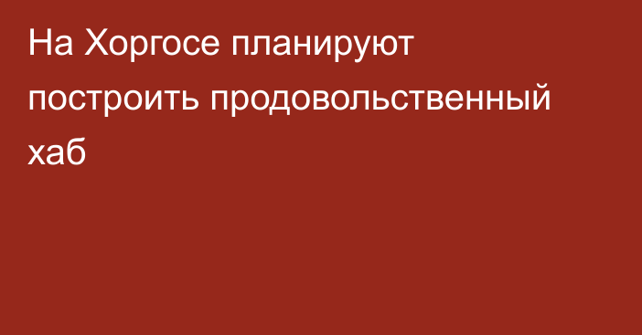 На Хоргосе планируют построить продовольственный хаб