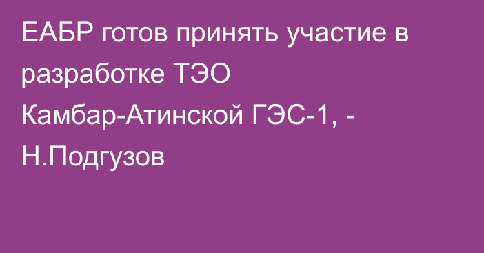 ЕАБР готов принять участие в разработке ТЭО Камбар-Атинской ГЭС-1, - Н.Подгузов