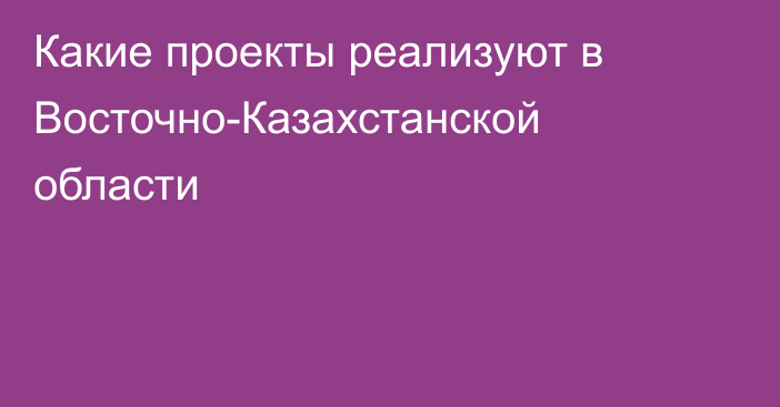 Какие проекты реализуют в Восточно-Казахстанской области