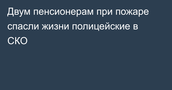 Двум пенсионерам при пожаре спасли жизни полицейские в СКО