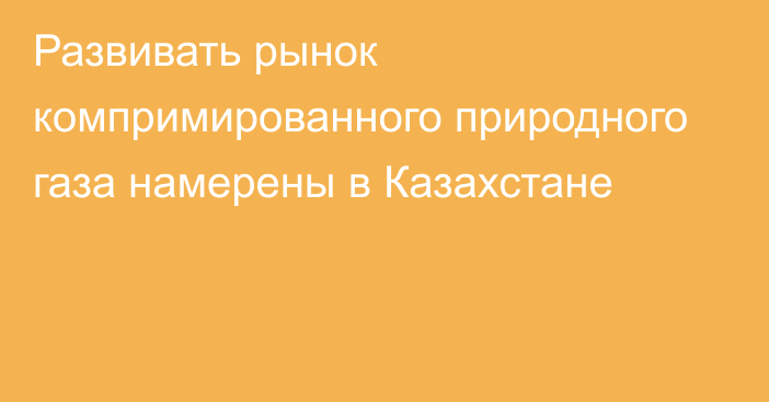 Развивать рынок компримированного природного газа намерены в Казахстане