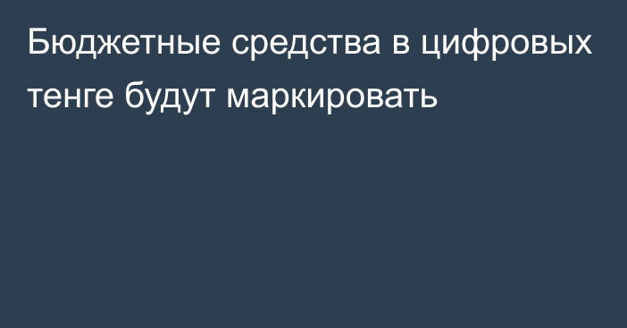 Бюджетные средства в цифровых тенге будут маркировать