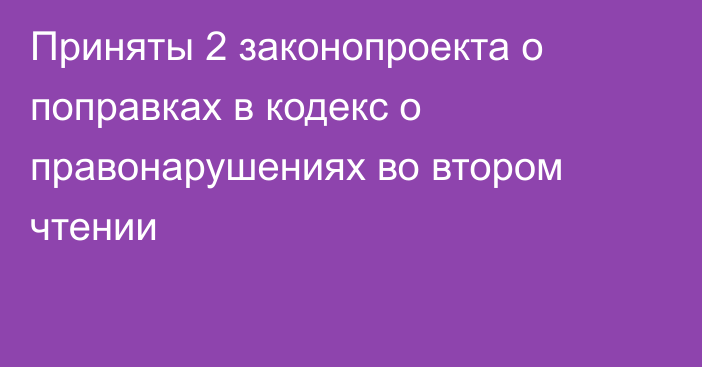 Приняты 2 законопроекта о поправках в кодекс о правонарушениях во втором  чтении