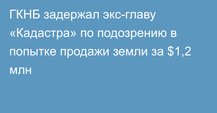 ГКНБ задержал экс-главу «Кадастра» по подозрению в попытке продажи земли за $1,2 млн