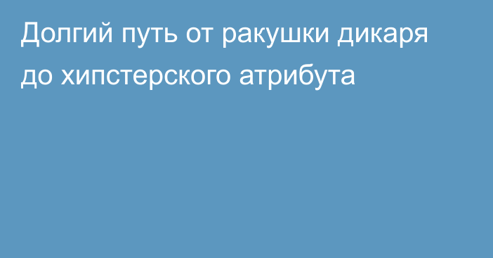 Долгий путь от ракушки дикаря до хипстерского атрибута