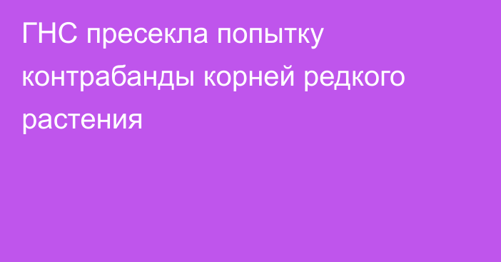 ГНС пресекла попытку контрабанды корней редкого растения