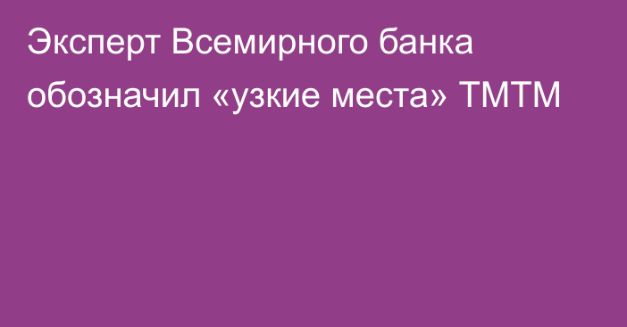 Эксперт Всемирного банка обозначил «узкие места» ТМТМ