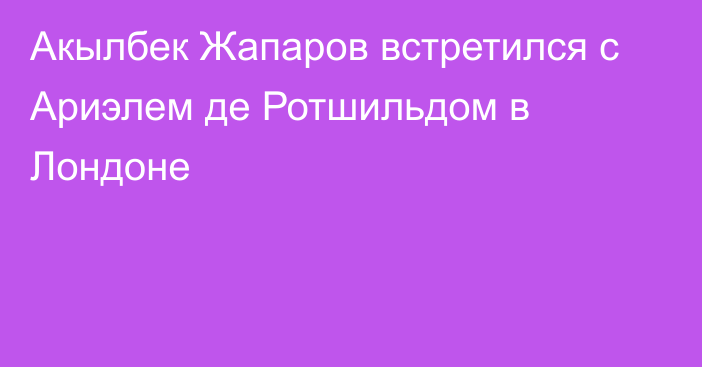 Акылбек Жапаров встретился с Ариэлем де Ротшильдом в Лондоне