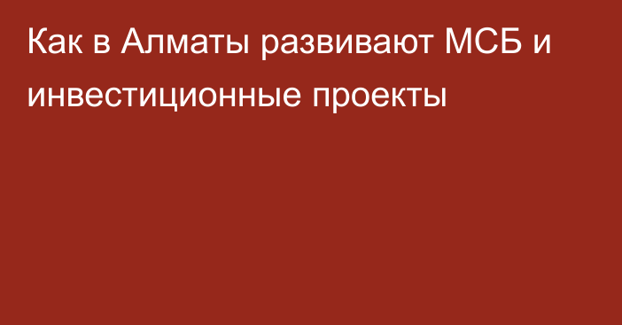 Как в Алматы развивают МСБ и инвестиционные проекты