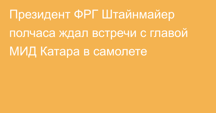 Президент ФРГ Штайнмайер полчаса ждал встречи с главой МИД Катара в самолете