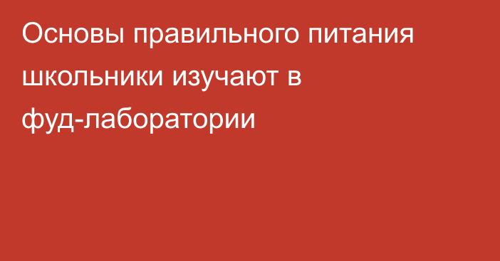 Основы правильного питания школьники изучают в фуд-лаборатории