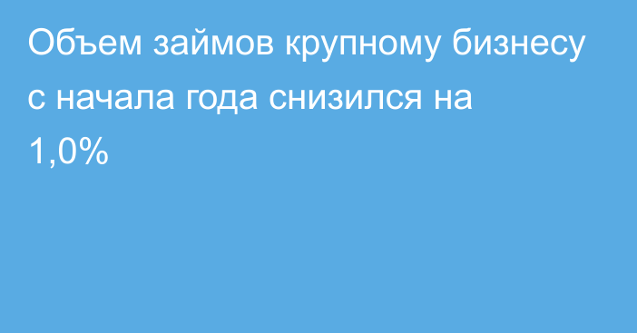 Объем займов крупному бизнесу с начала года снизился на 1,0%