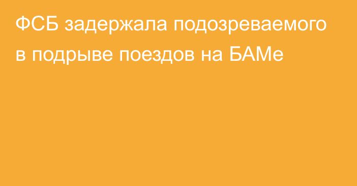 ФСБ задержала подозреваемого в подрыве поездов на БАМе