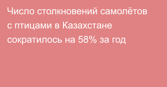 Число столкновений самолётов с птицами в Казахстане сократилось на 58% за год