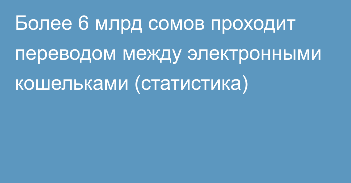 Более 6 млрд сомов проходит переводом между электронными кошельками (статистика)