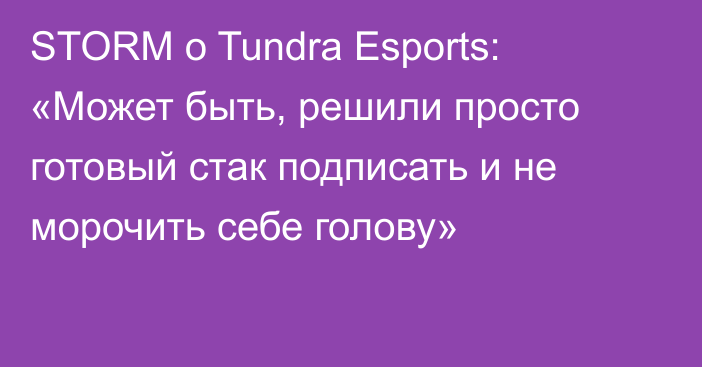 STORM о Tundra Esports: «Может быть, решили просто готовый стак подписать и не морочить себе голову»