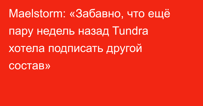 Maelstorm: «Забавно, что ещё пару недель назад Tundra хотела подписать другой состав»