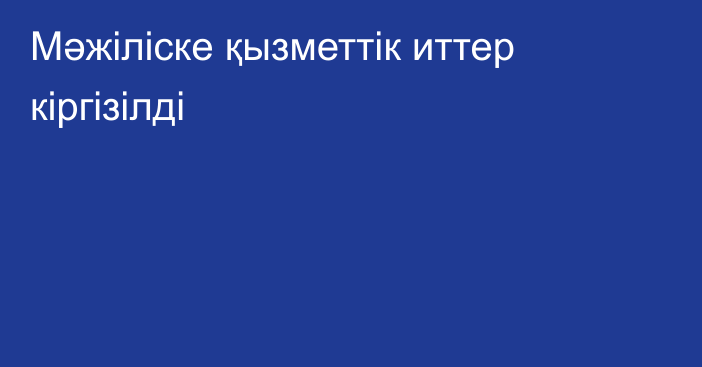 Мәжіліске қызметтік иттер кіргізілді