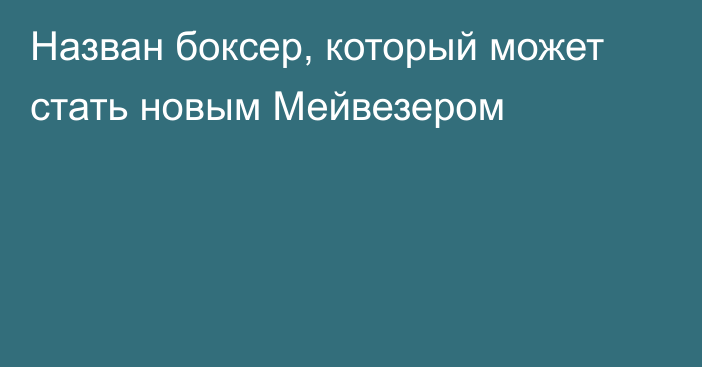 Назван боксер, который может стать новым Мейвезером