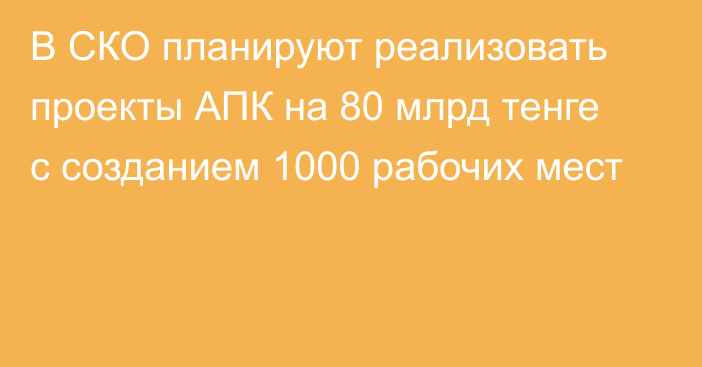 В СКО планируют реализовать проекты АПК на 80 млрд тенге с созданием 1000 рабочих мест