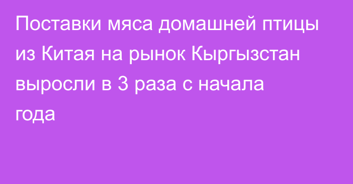 Поставки мяса домашней птицы из Китая на рынок Кыргызстан выросли в 3 раза с начала года