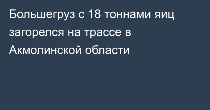 Большегруз с 18 тоннами яиц загорелся на трассе в Акмолинской области