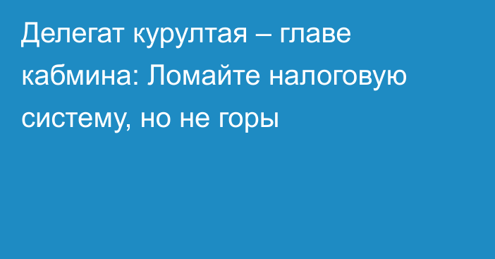 Делегат курултая – главе кабмина: Ломайте налоговую систему, но не горы