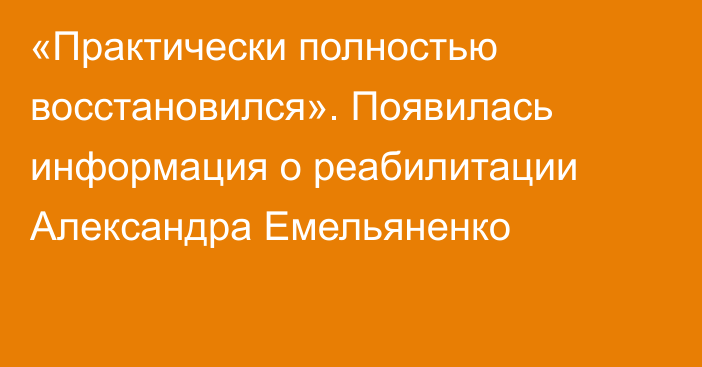 «Практически полностью восстановился». Появилась информация о реабилитации Александра Емельяненко