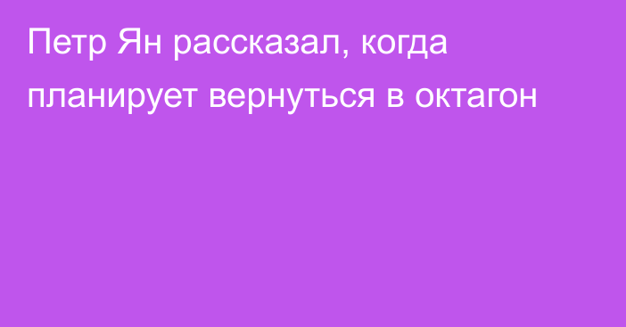 Петр Ян рассказал, когда планирует вернуться в октагон