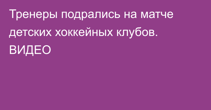 Тренеры подрались на матче детских хоккейных клубов. ВИДЕО