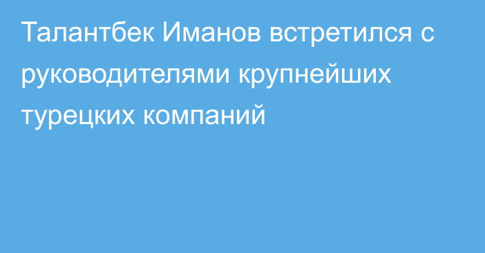 Талантбек Иманов встретился с руководителями крупнейших турецких компаний