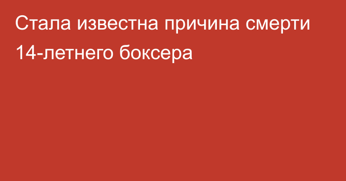 Стала известна причина смерти 14-летнего боксера