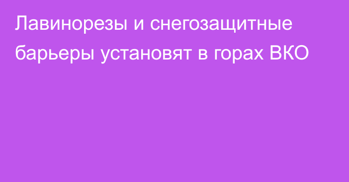 Лавинорезы и снегозащитные барьеры установят в горах ВКО