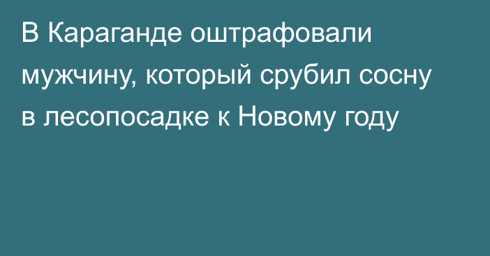 В Караганде оштрафовали мужчину, который срубил сосну в лесопосадке к Новому году