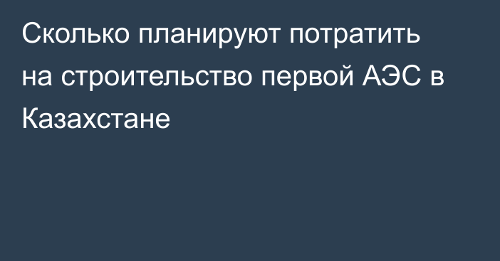 Сколько планируют потратить на строительство первой АЭС в Казахстане