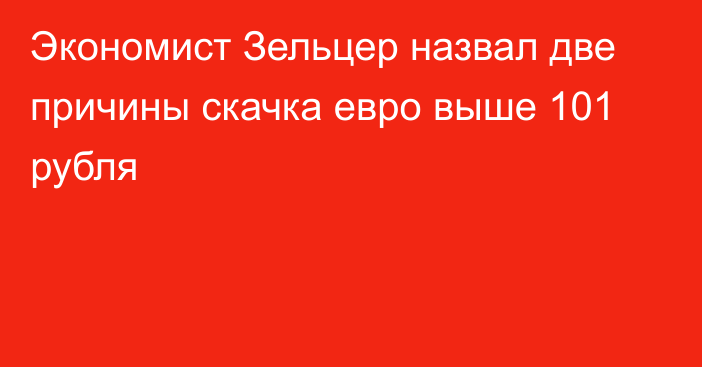 Экономист Зельцер назвал две причины скачка евро выше 101 рубля