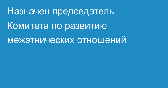 Назначен председатель Комитета по развитию межэтнических отношений