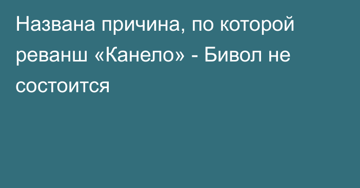 Названа причина, по которой реванш «Канело» - Бивол не состоится