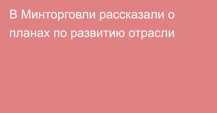 В Минторговли рассказали о планах по развитию отрасли