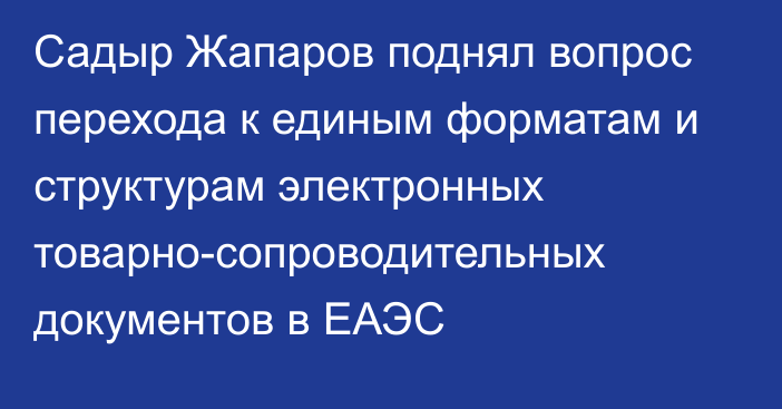 Садыр Жапаров поднял вопрос перехода к единым форматам и структурам электронных товарно-сопроводительных документов в ЕАЭС